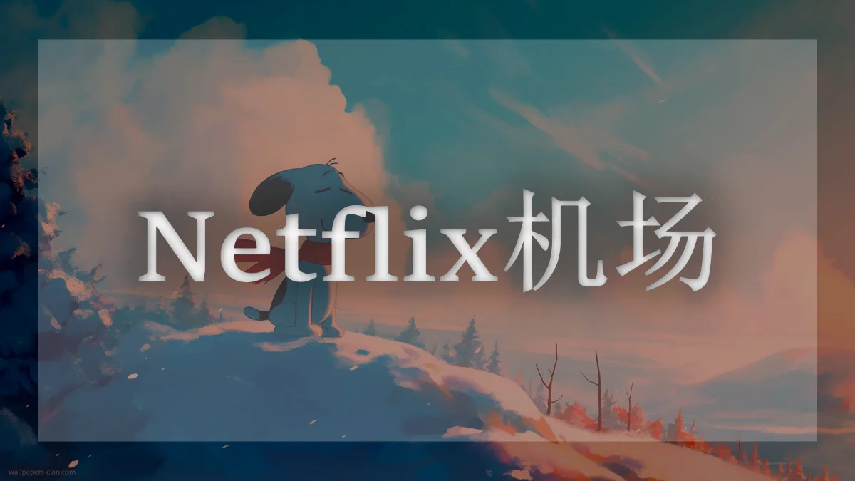 奈飞机场推荐
