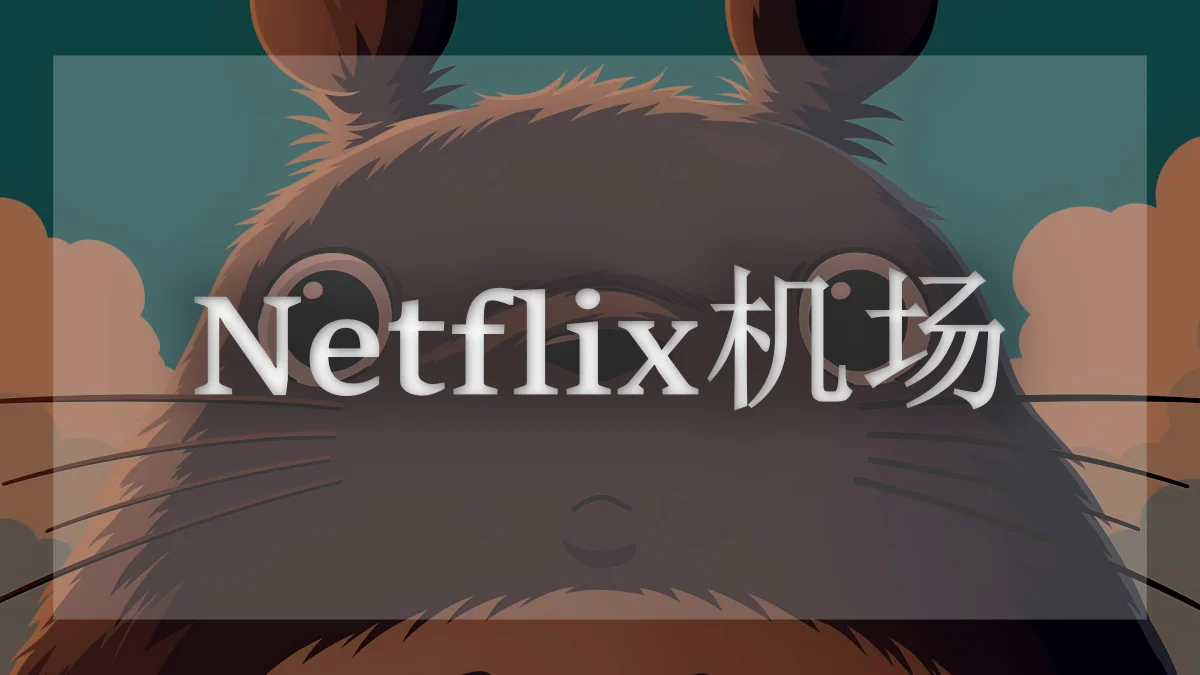 奈飞机场推荐
