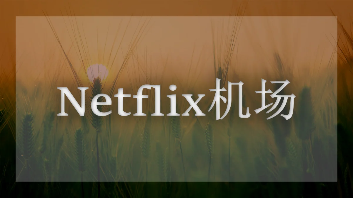 奈飞机场推荐